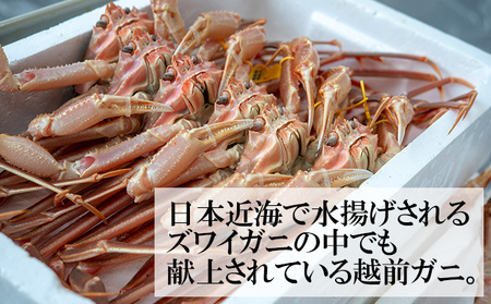 かに 年末に届く 茹で 越前がに 約600g 2杯 セット ずわい蟹 ボイルカニ ボイル 年末