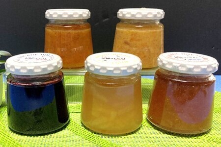 季節の宝石 無添加手作りジャム 5種 K070006