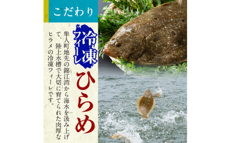 A0-331 鹿児島県産！薩摩隼人ひらめ230g以上(2～3P)【MBC開発】霧島市 ヒラメ 刺身ヒラメ 刺身 冷凍