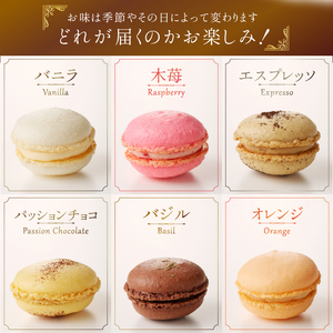 種類はおまかせ！ふるさと納税限定マカロン(12個入)　お菓子 マカロン アソート 冷凍 手作り バニラ チョコレート 木苺 カシス ヘーゼルナッツ ココナッツチョコレート 抹茶 ピスタチオ パッションショコラ バジル オレンジ ロイヤルミルクティー エスプレッソ [h194]