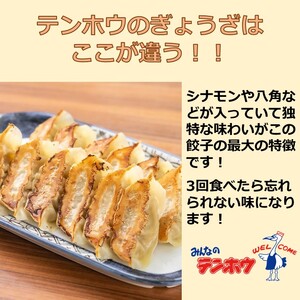 ぎょうざ 2袋[56粒×2袋] / テンホウ 冷凍 餃子 大容量 信州 長野県 諏訪市 諏訪 [21-01]