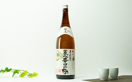 麗人 おすすめ地酒セット 1800ml×2本 / 麗人酒造 諏訪五蔵 日本酒 信州 長野県 諏訪市 諏訪 [37-04]