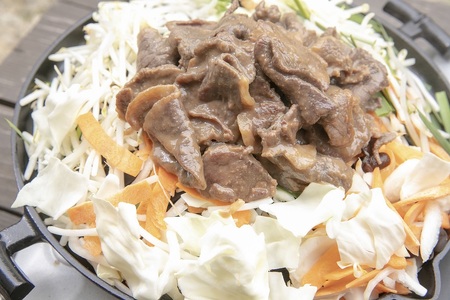 A084 エゾシカ 鹿肉 ジンギスカン３種セット （しょうゆ みそ トマト たれ 味 ） 各500g （ 鹿肉300g タレ200g ） 北海道 鷹栖町 高たんぱく 低脂肪 山恵 鹿肉 ジビエ ジンギスカン 