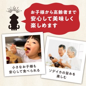 冷凍保存Ｏk！エメラルドブルーの美しい海で育ったおいしいソデイカ冷凍ブロック3キロ（9～10人前）！ W022-031u 魚 冷凍 イカ 加工品