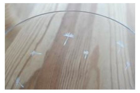 浅草切子 暮らしの硝子「たんぽぽ FLEUR」化粧箱入り_0012-013-T03