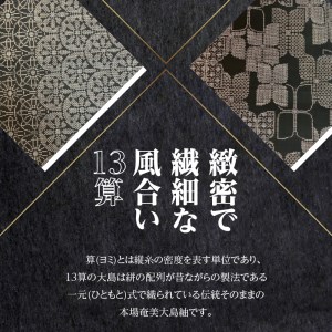 【本場奄美大島紬】温かみのある風合いが特徴の13算 A060-006 本場奄美大島紬 紬 絹織物 絣 伝統的工芸品 絹 反物 和装 着物 泥染め 手織り