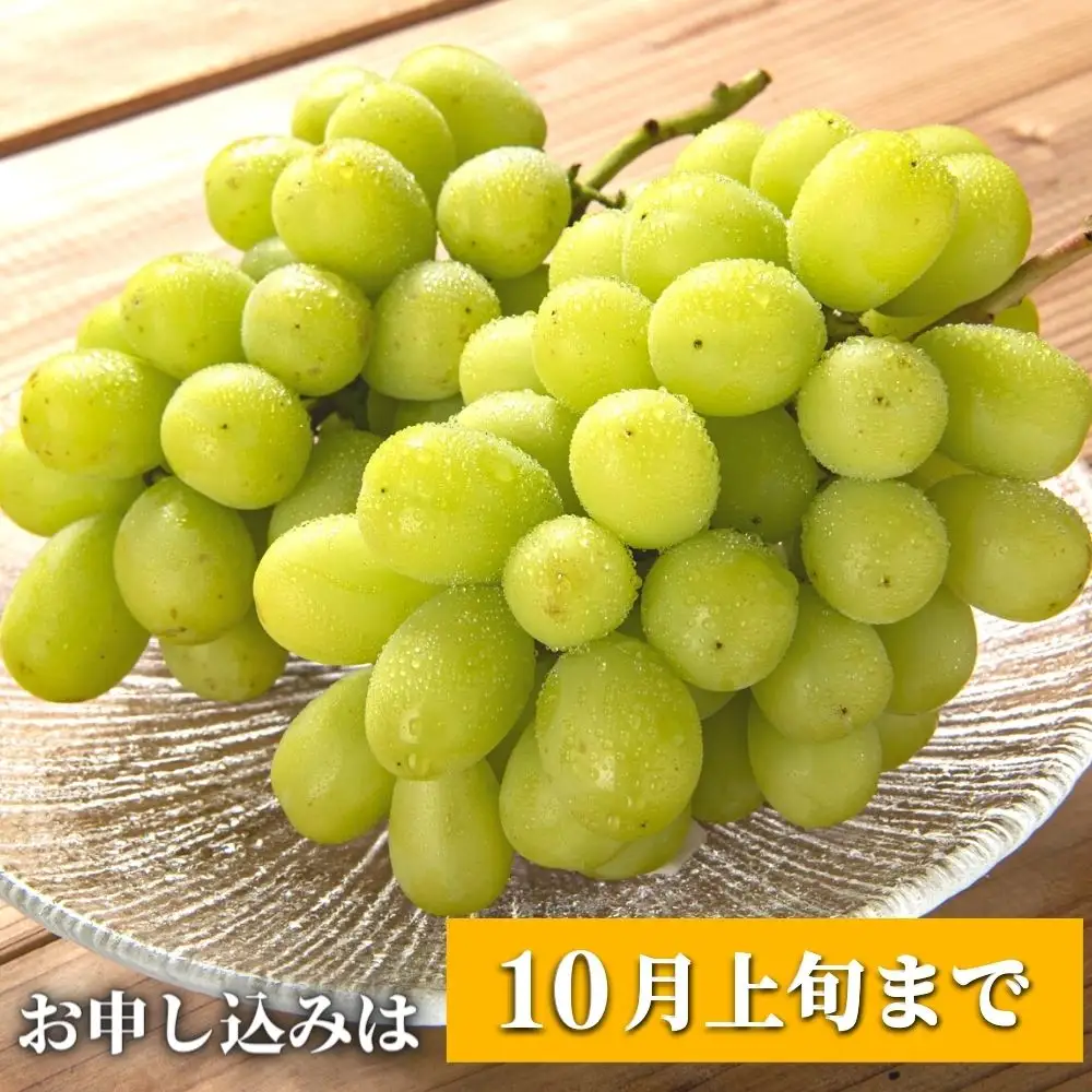 【ふるさと納税】《先行予約》至極の果実シャインマスカット2kg | 豊後高田市 シャインマスカット