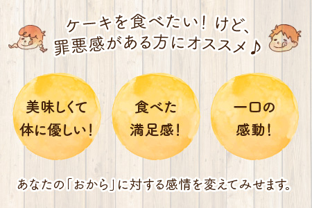 国産・豆乳/生おからで作ったグルテンフリーのケーキおからショコラ 【お菓子 ケーキ スイーツ おやつ 記念日プレゼント お祝い ギフト 贈答 美味しい 可愛い 取り寄せ お取り寄せ グルメ デザート 小麦粉不使用】 [A-15405]