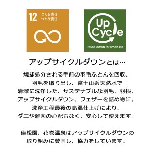 ダウンパッド（羽毛敷きパッド） クイーン［サステナブルなダウン×抗菌防臭生地］ 【1330】