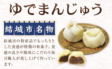 真盛堂 結城名物・手づくりゆでまんじゅう15個入り《90日以内に出荷予定(土日祝除く)》まんじゅう和菓子【配送不可地域あり】(離島)