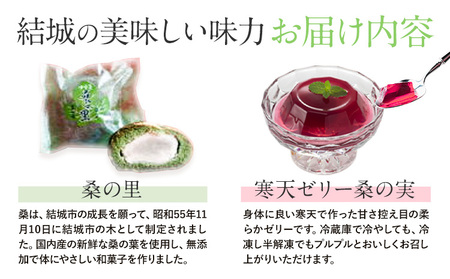 和菓子 結城の美味しい味力（みりょく）満載 富士峰菓子舗《90日以内に出荷予定(土日祝除く)》茨城県 結城市 和菓子 スイーツ 詰め合わせ 桑の里 寒天ゼリー 白餡 すりごま入り餡 ホワイトチョコレート 大福 コーヒー 抹茶 シャインマスカット