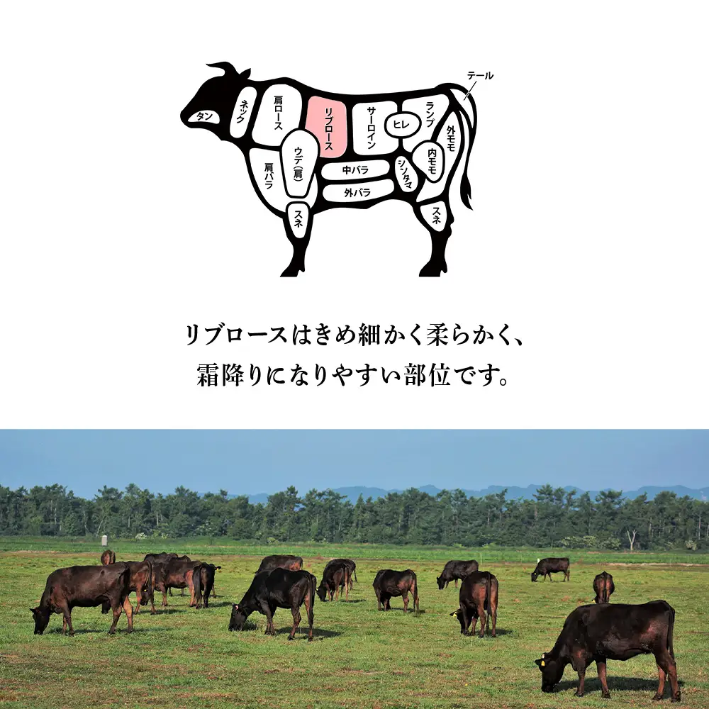 北海道 白老産 黒毛和牛 リブロース すき焼き 500ｇ (2・3人前) BS003