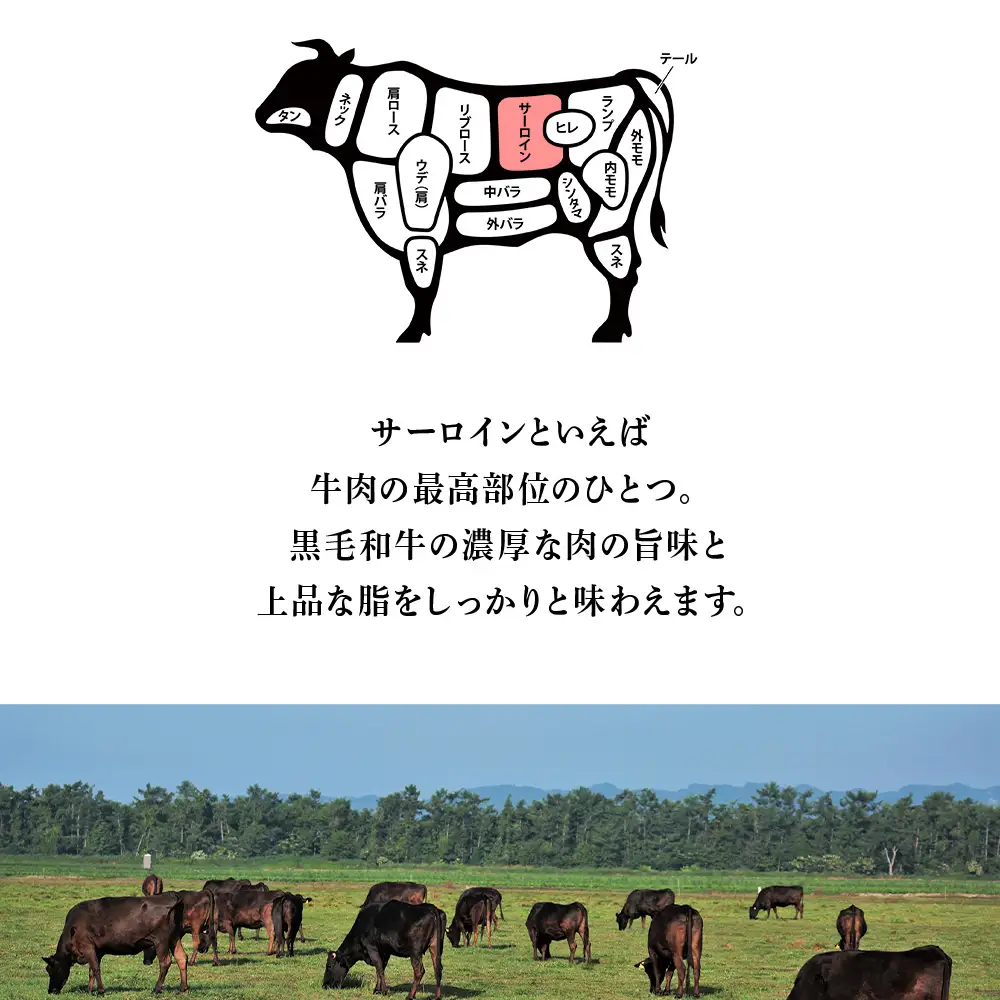 北海道 白老産 黒毛和牛 サーロイン ステーキ 200ｇ×2枚 BS008