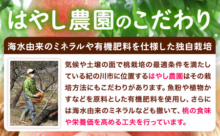 桃 朝採り 桃 約2kg