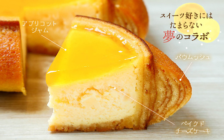 ムッシュフロマージュ 約4.5号 1個 スイーツ お菓子 [A-08200]