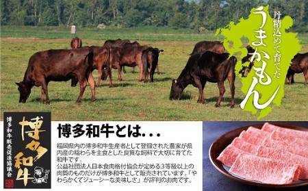 博多和牛生ハンバーグ　150g×6パック　合計900g[H4508]