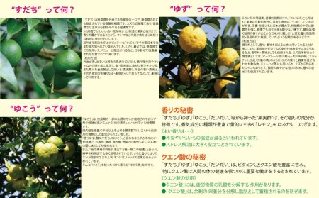 和柑橘果汁 300ml 3種セット