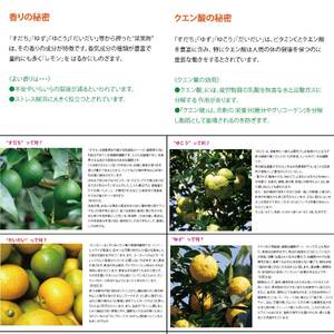 和柑橘果汁 300ml 4種＋あわせす 200ml