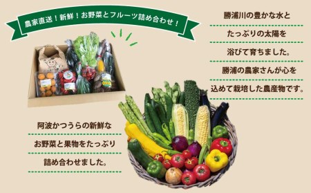 【定期便3回】阿波かつうら 農産物詰合わせ