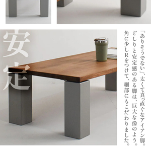 HITTITEのローテーブル "The zou”（W120cm×D50cm）ヒッタイト アイアンテーブル 机 ローテーブル インテリア 家具 おしゃれ　063-27