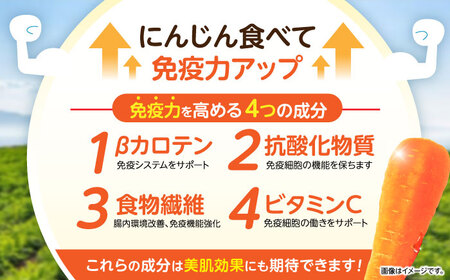 滝さんの人参 10kg 人参 AHCU001