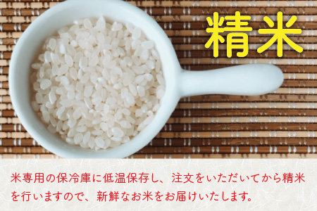 【先行予約】【令和8年産・新米】【6ヶ月定期便】 コシヒカリ10kg×6回　合計60kg（精米）【2026年10月より順次発送予定】 [L-11304_03]