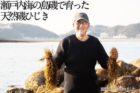 ひじき 生炊きだからおいしい 瀬戸内 ひじき 28g×3袋 乾燥