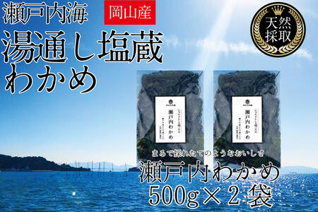 わかめ 湯通し塩蔵 瀬戸内 わかめ 500g×2袋