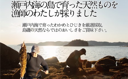 海藻 瀬戸内で採れた島磯香る わかめ 22g×1袋と ひじき 28g×2袋 セット