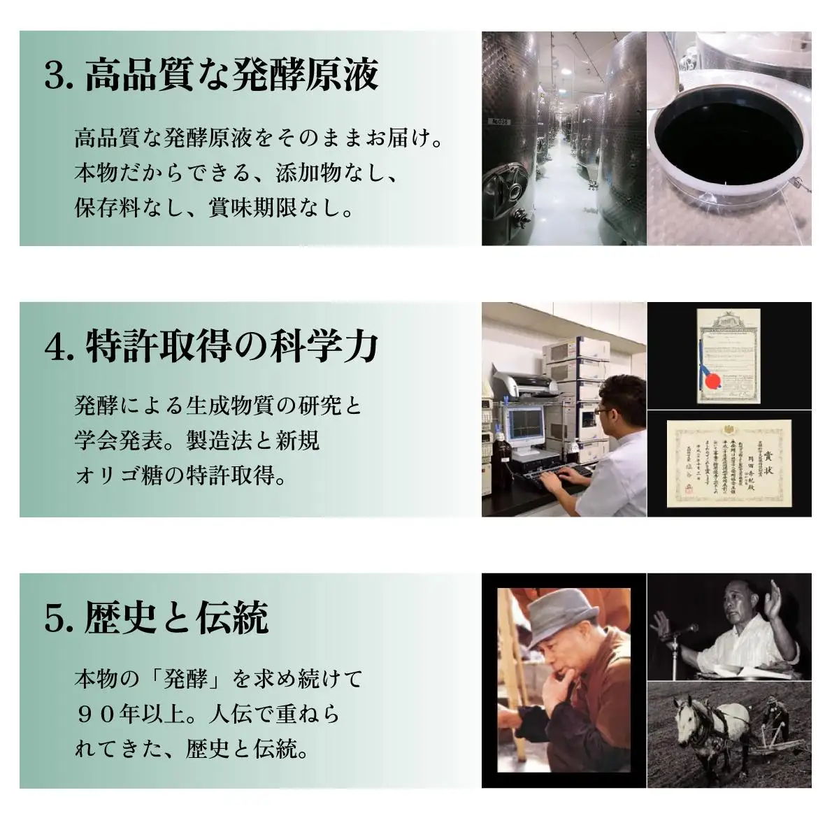 [5525-0739]大高酵素お試しセットB
