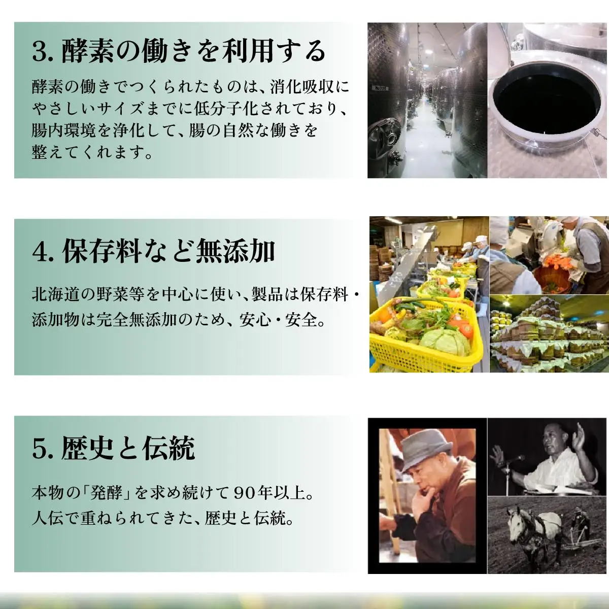 [5525-0716]大高酵素の犬用発酵野菜サプリ「フリカケワン」100g×2袋