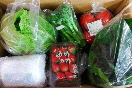 長崎県産　季節の野菜BOX【産直松吉】