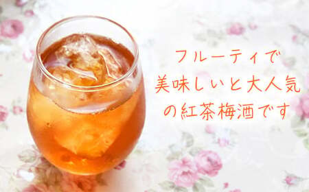 ちえびじん 紅茶梅酒  杵築産 べにふうき 茶葉 使用 720ml×2本セット【中野酒造】 九州 大分県 フルーティー 人気 ギフト 紅茶 梅酒 和紅茶 美味しい おすすめ ランキング ＜110-012＞