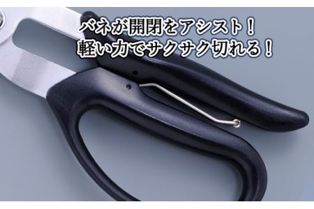 H9-101 ALLEX スーパーハードはさみ【段違い刃】（SH-1 17211）