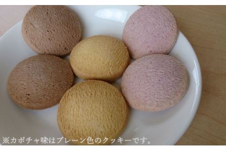 G4-05【グルテンフリー】ライスパスタ スパゲッティφ1.7＆ライスクッキー かぼちゃ SS5【30営業日】（45日程度）を目安に発送