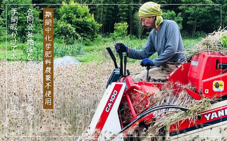 もち麦 【1.6kg】 そのままごはんと一緒にすぐ炊ける 8ぶづき ～栽培期間中 化学肥料 農薬不使用～G15-11 