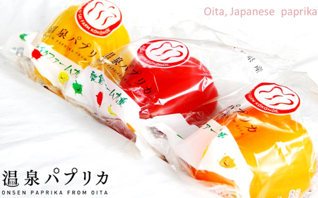 大分県九重町産 温泉 パプリカ 5kg