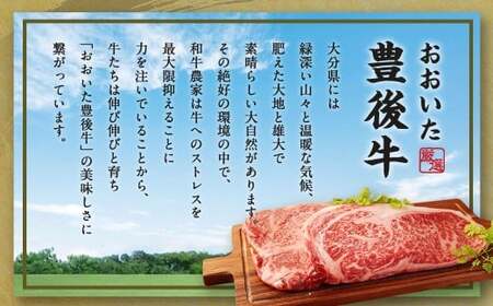 【大分県産】豊後牛 サーロイン ステーキ 約300g (約150g×2) 牛肉