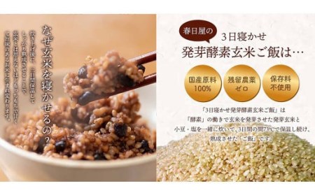 【1食 お試し セット】3日寝かせ 発芽 酵素 玄米 ごはん 125g×1食