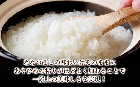 【無洗米】北海道産 う米蔵5kg×2袋