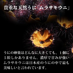 うに 貝焼き 約75g×2 冷凍 ＼ うに ／
