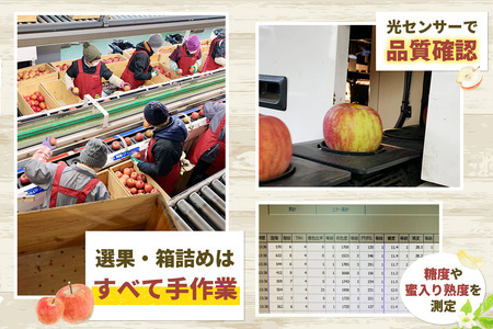 家庭用 りんご サンふじ スマートフレッシュ™ 5kg (14玉から20玉入り 5kg 1箱) 見た目にわけあり 味はそのまま [0795]