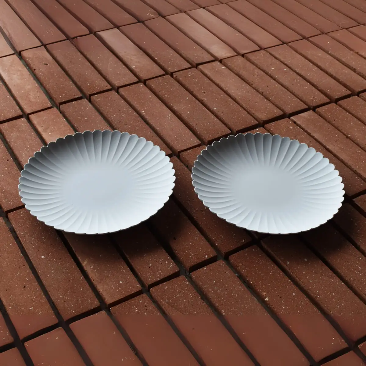 1616/ TY Palace Plate 220 2枚セット【1616/arita japan】有田焼 食器