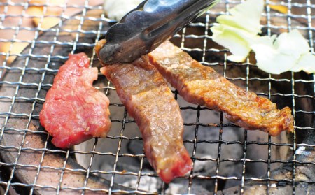 牛肉 焼肉 小分け 極 上紀和牛 タレ仕込 味付 焼肉 300g×2パック 計600g【冷凍】 / 牛肉 焼肉【tnk205】