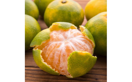 【初秋の美味】有田育ちのご家庭用ゆら早生有田みかん　約1kg+200g(傷み補償分)【サイズ混合】【2026年10月中旬～11月上旬頃に順次発送予定】【ard052C】