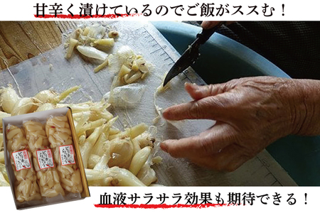 BC-3☆茨城のピリ辛らっきょう