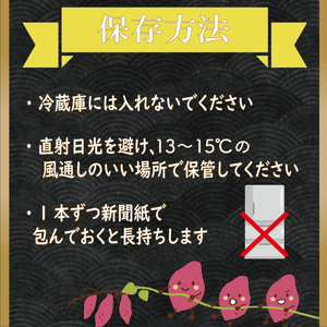 【訳あり】 紅はるか 約10kg 【2026年9月より順次発送】｜紅はるか 無選別 先行予約 行方台地 さつまいも 茨城県(CU-55-4)