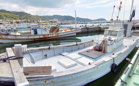【中尾満男水産】【淡路島丸山港発】釣り船 若松丸 乗船券(1名様1回券 乗合)