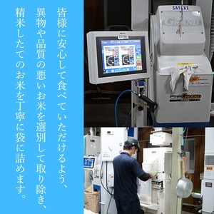 【令和7年産】 はえぬき 無洗米 10kg　(5kg×2袋)　山形県庄内産　有限会社 阿部ベイコク