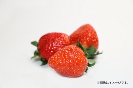 さぬき姫いちご (250g×8パック)